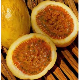Passiflora edulis var. flavicarpa (Fruit de la passion (Grenadille jaune))