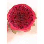 Pitaya : Hylocereus costa rica(Pitaya ou fruit du dragon)