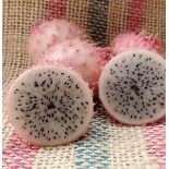 Pitaya : Hylocereus H. hondurensis(Pitaya ou fruit du dragon)