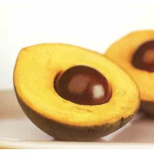 Pouteria obovata (Lucuma, lucumo)
