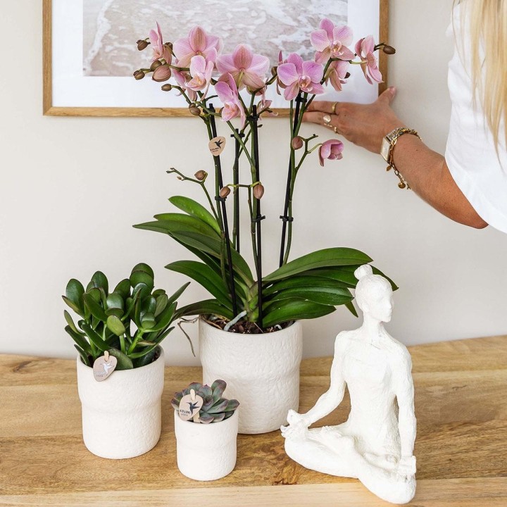 Kolibri Home | Rustic Decorative Pot White | Ø6Cm