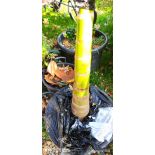 Archontophoenix alexandrae SECONDE MAIN (Palmier royal) 200M TRONC 150CM 