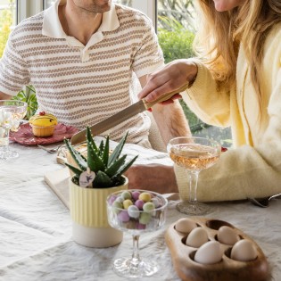 Succulent Aloe Brevifolia - Taille du pot Ø9Cm