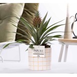 Ananas Rosita en céramique Tirza - Ø12Cm