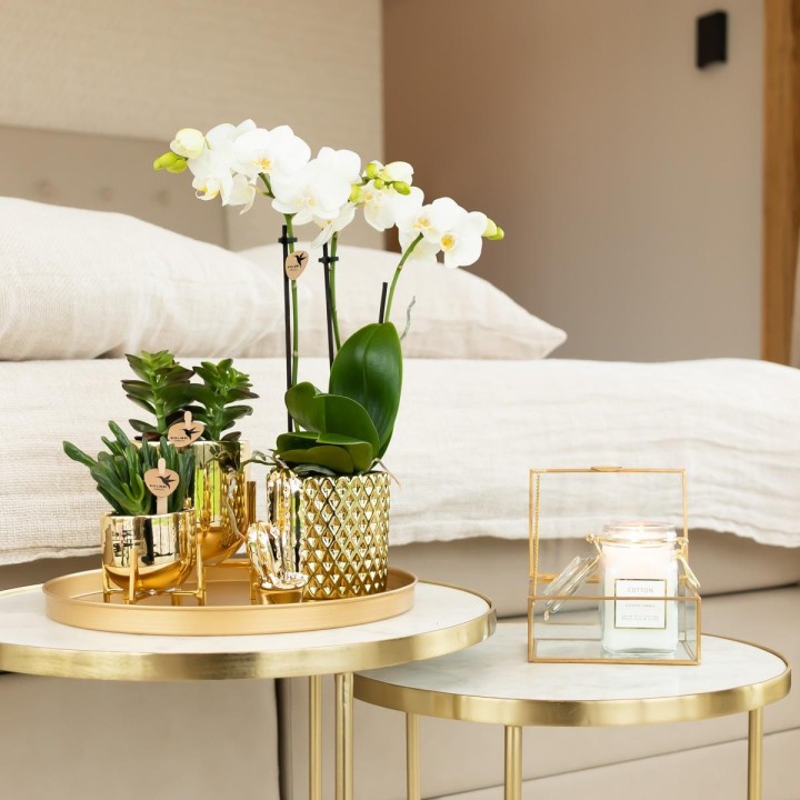Kolibri Home | Metallic Diamond Flowerpot - Golden Ceramic Pot Ø9Cm