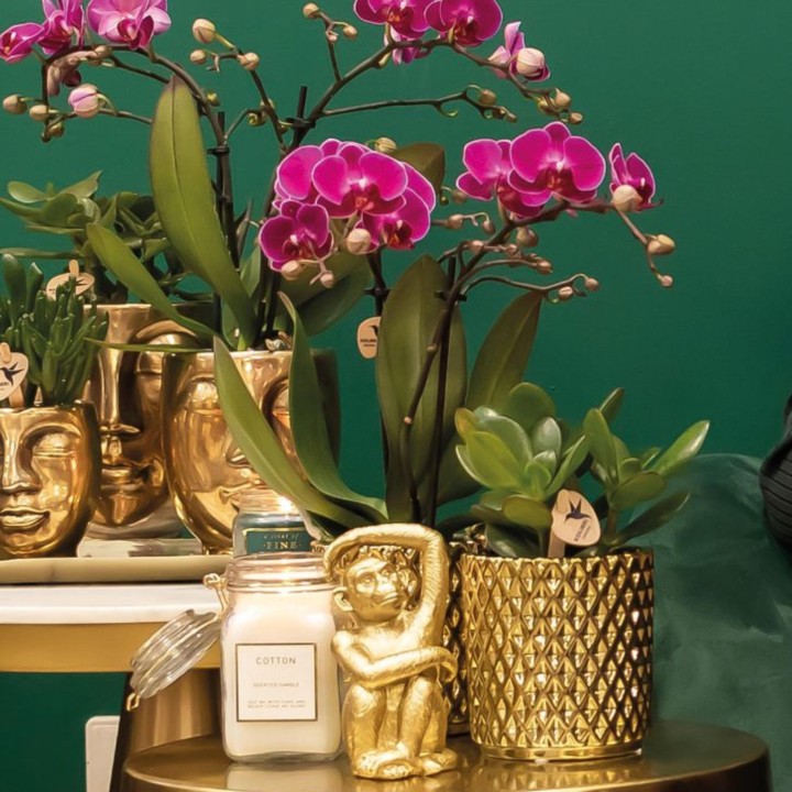 Kolibri Home | Metallic Diamond Flowerpot - Golden Ceramic Pot Ø9Cm