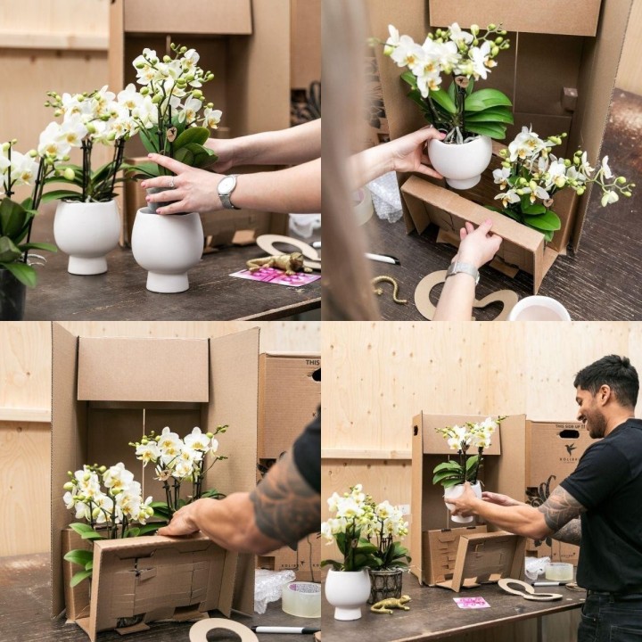 Kolibri Home | Bowl Flowerpot - White Ceramic Ornamental Pot - Pot Size Ø9Cm