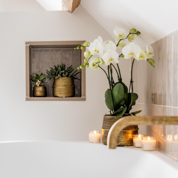 Kolibri Orchids | White Phalaenopsis Jewel Ghent Orchid In Gold Coloured Groove Ornamental Pot - Pot Size Ø12Cm