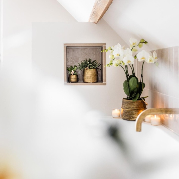 Kolibri Orchids | White Phalaenopsis Jewel Ghent Orchid In Gold Coloured Groove Ornamental Pot - Pot Size Ø12Cm