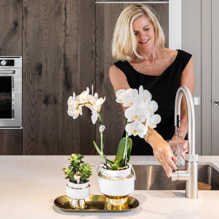 Kolibri Company - Set Of White Orchid And Succulent On Golden Tray