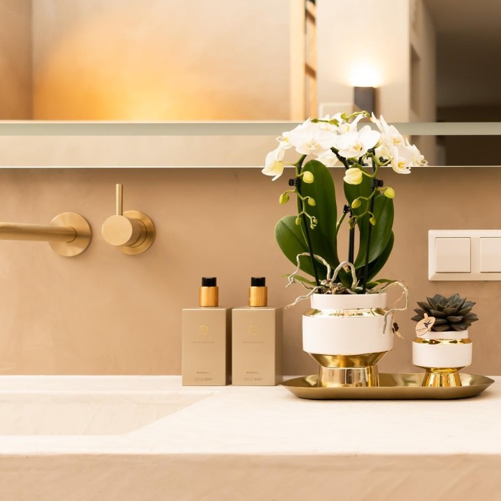 Kolibri Company - Set Of White Orchid And Succulent On Golden Tray