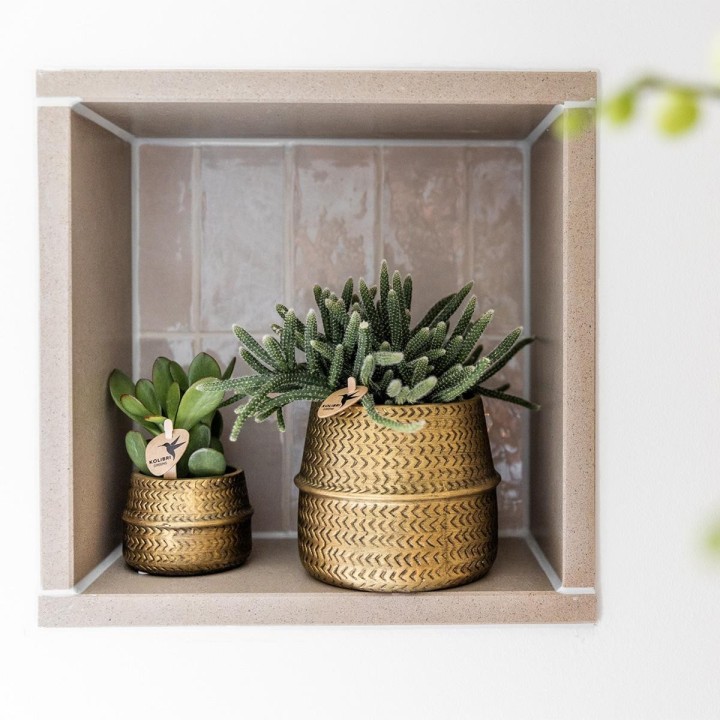 Kolibri Greens | Plant Set - With 3 Succulenten Mix - Incl. Ceramic Decorative Pots | Pot Size Ø9Cm