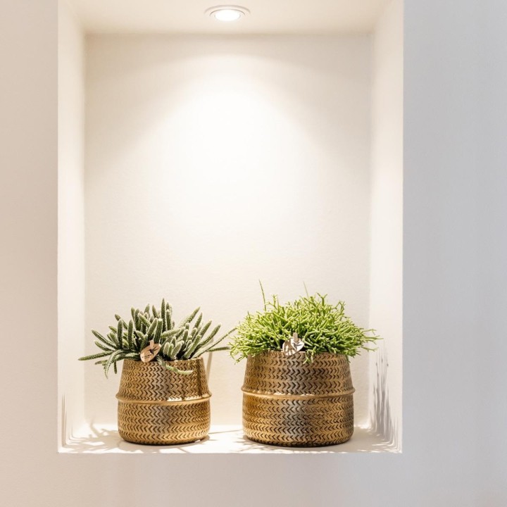 Kolibri Greens | Plant Set - With 3 Succulenten Mix - Incl. Ceramic Decorative Pots | Pot Size Ø9Cm