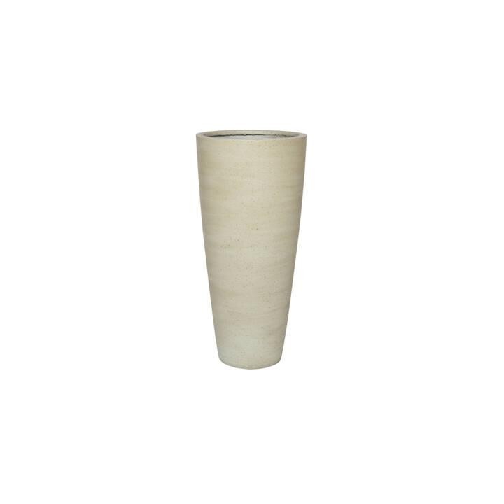 Dax Beige Washed