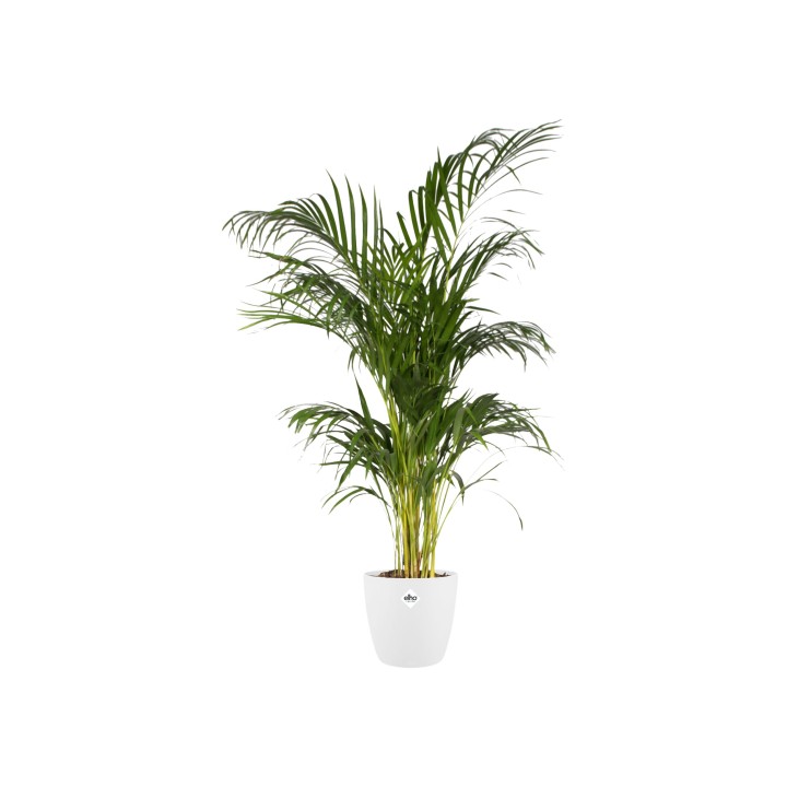 Pot Elho Brussels Round White D30 X H27