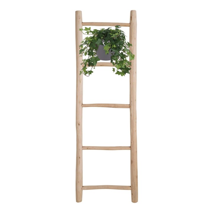 Hedera helix - Ø17Cm - 10/30Cm