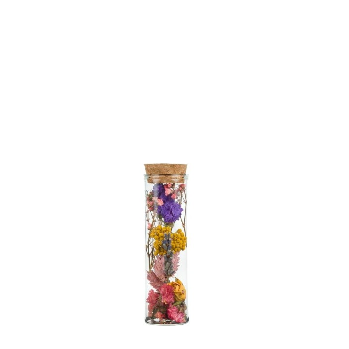 Dried Flowers - Wish Bottle Small - Multi - 12 Pieces - ↕10Cm
