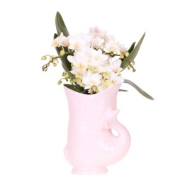 Kolibri Orchids | White Orchid 'Nazaré' + Pink Fish Pot - Pot Size Ø9Cm | Blooming Houseplant - Fresh From The Grower