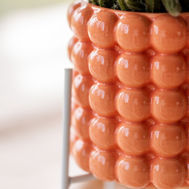 Kolibri Company | Plant Set Poppy Orange | Orange Phalaenopsis Orchid Jamaica And Succulent Incl. Ceramic Decorative Pots
