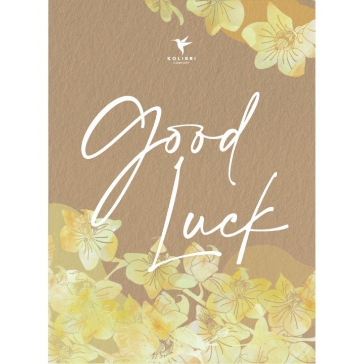 Kolibri Orchids | Plant Gift Good Luck | Lausanne Orchid With Pot, Card & Gift Bag