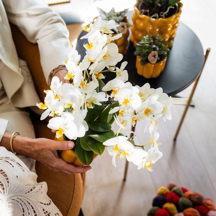 Kolibri Orchids | Plant Gift Get Well Soon | Lausanne Orchid With Pot, Card & Gift Bag