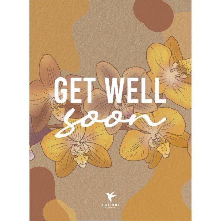 Kolibri Orchids | Plant Gift Get Well Soon | Lausanne Orchid With Pot, Card & Gift Bag