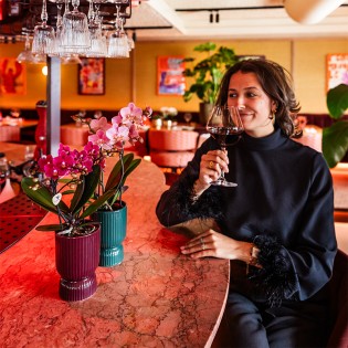 Phalaenopsis Pourpre/Burgundy (taille du pot Ø9 cm)