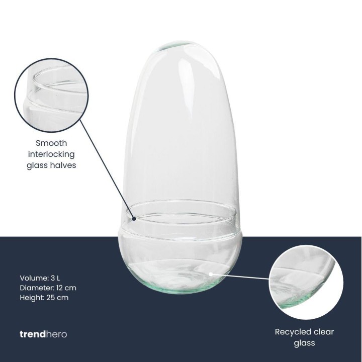 Bottle Garden - Egg - Egg Shape Vase - ↑ 25 Cm