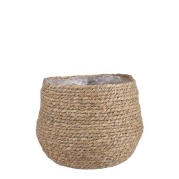 Mand Jorck Bruin D26