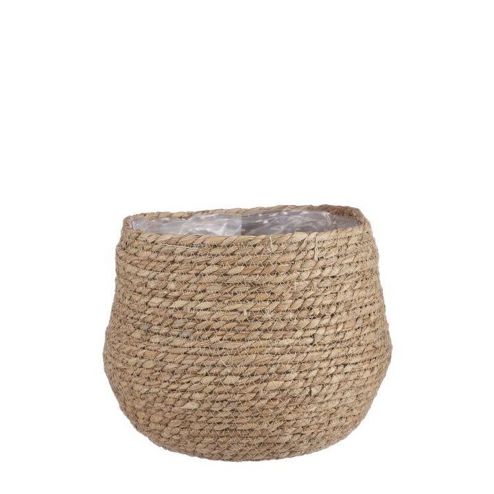 Mand Jorck Bruin D26