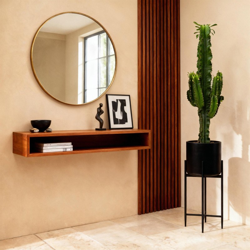 Euphorbia Eritrea - Arbre à lait africain Pot 19Cm - hauteur 70Cm