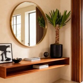 Yucca elephantipes- Faible entretien - Vert - Pot 14Cm - Hauteur 55Cm