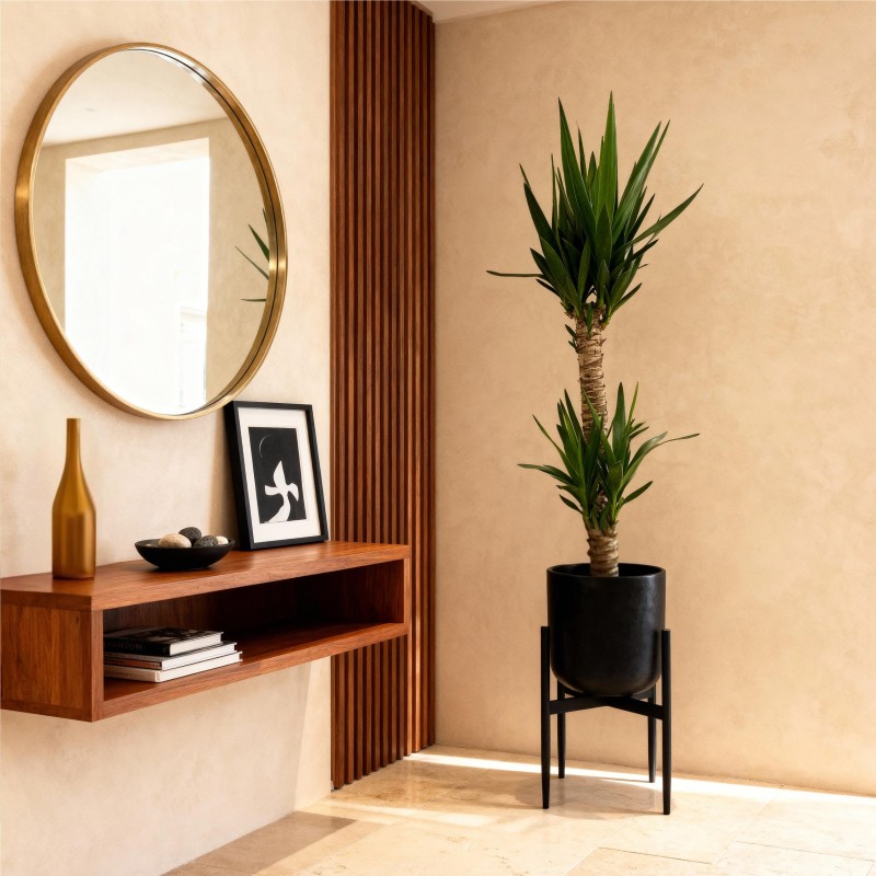 Yucca elephantipes- Faible entretien - Pot 19Cm - Hauteur 120Cm