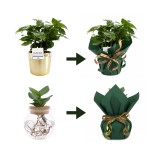 Gift Wrapping Service - Wrapping Paper & Ribbon