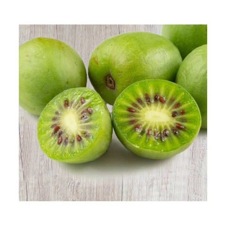 Actinidia arguta Issai ( kiwai, nergi, kiwi de Sibérie, kiwi nain)