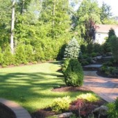 Besoin de plantes pour vous protéger du vent ? c'est ici