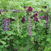 Vous devez rencontrer des grimpeurs au moins une fois dans votre vie