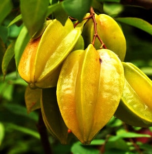 Carambole pas cher
